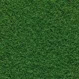 Artificial grass thumbnail