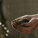 Topsoil thumbnail